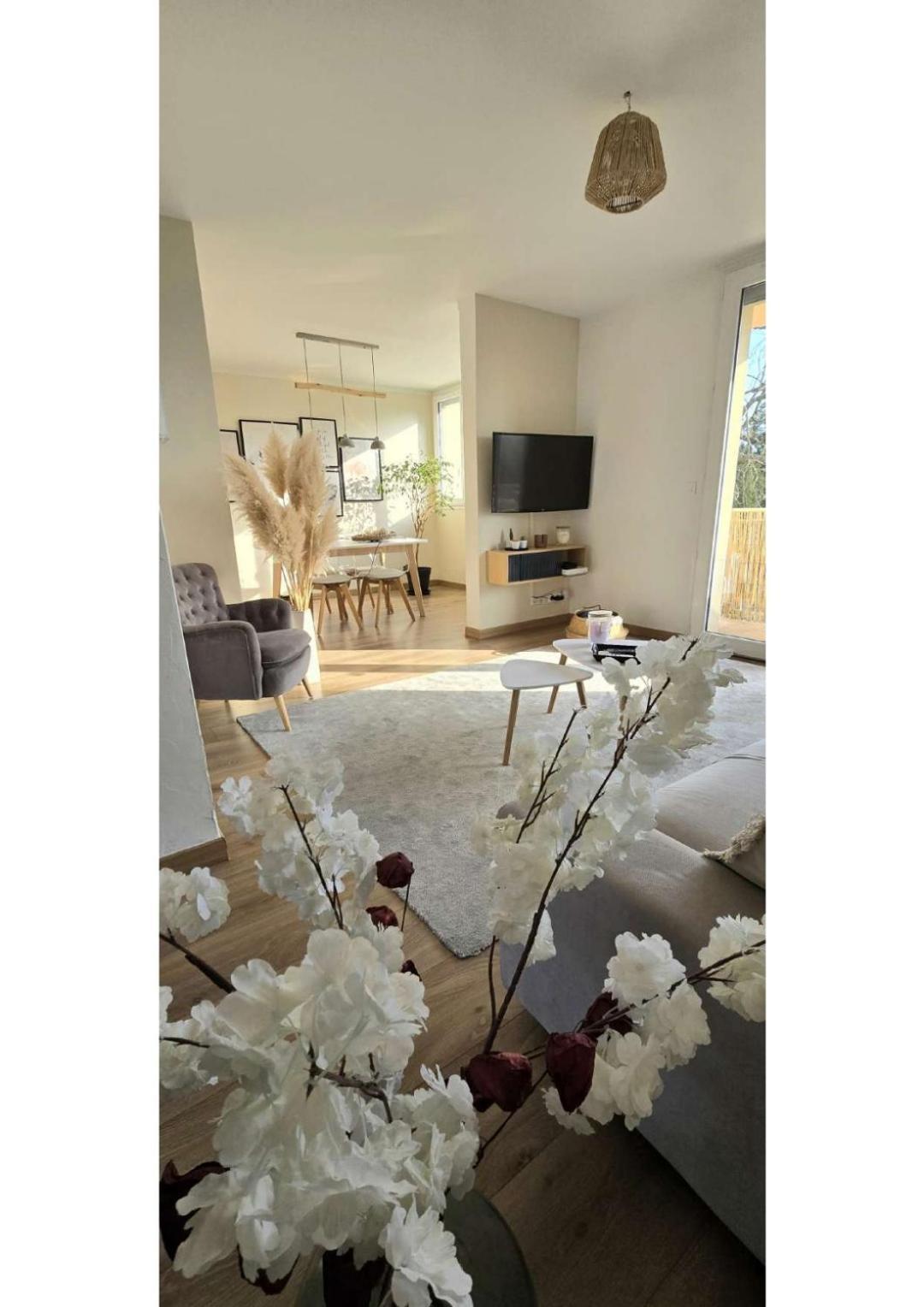 Superbe T3 Cosy, Parking Gratuit + Balcon Apartment Riom Luaran gambar